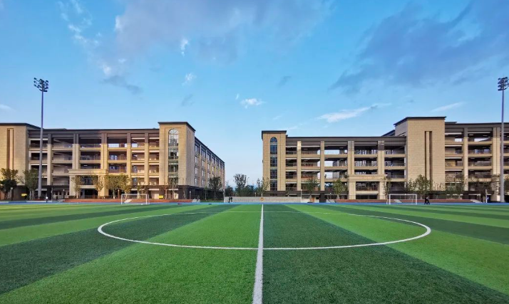 重庆巴蜀常春藤学校
