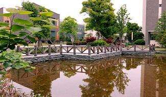 宁波滨海国际合作学校校园风采