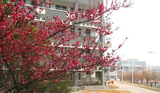 平湖中學(xué)校園風(fēng)光
