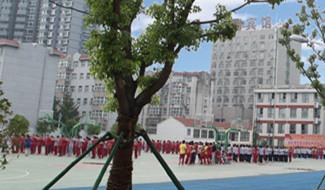 校園風(fēng)采