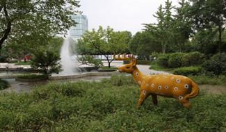 校園風(fēng)采
