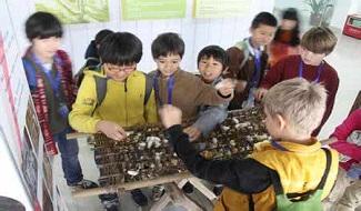 学生活动