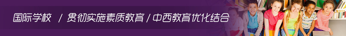 国际学校,中西教育优化结合