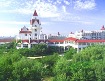 国内国际 双通道