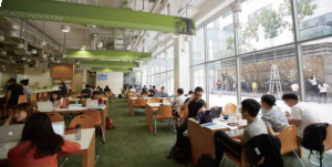 学制短，学历高