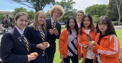 优秀的师资队伍