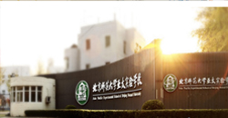 專業(yè)的課程體系