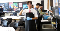 完整的课程体系