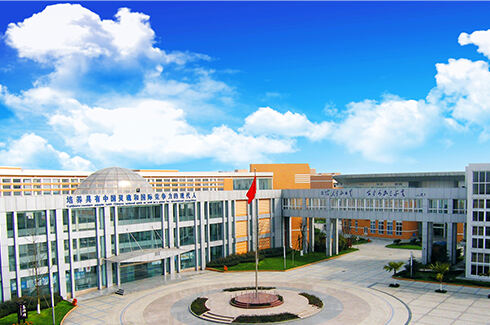 多样化的综合素质活动