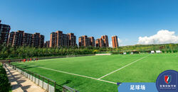 根据兴趣，灵活选择