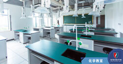 高中课程与雅思教学并重