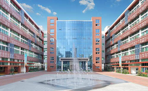 国际化黄金课程 双语沉浸式教学