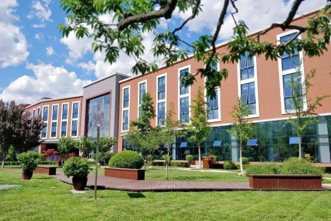 南京教育咨询全指南:从升学规划到留学申请,家长和学生该怎么选