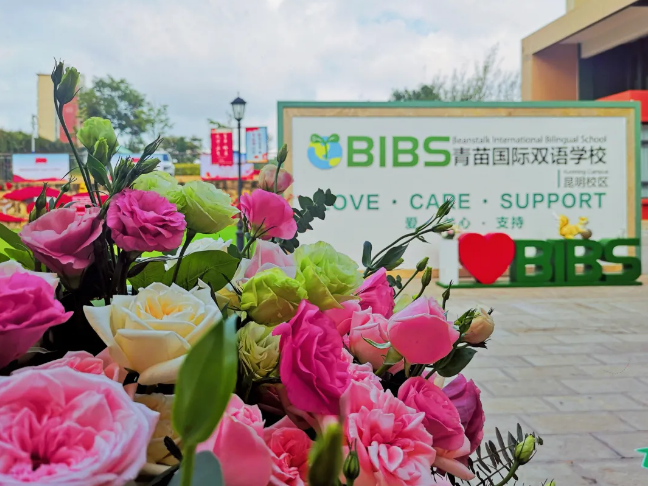青苗国际双语学校昆明校区