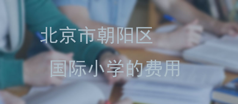 2023年北京市朝阳区国际小学费用