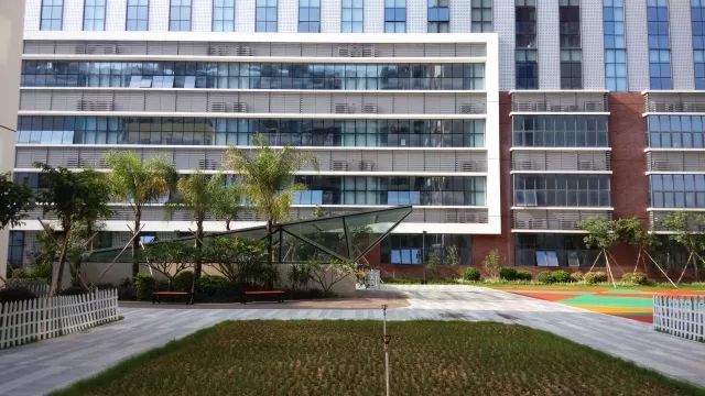 ISNS南山国际学校