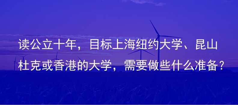 读公立十年，目标上海纽约大学、昆山杜克或香港的大学，需要做些什么准备？