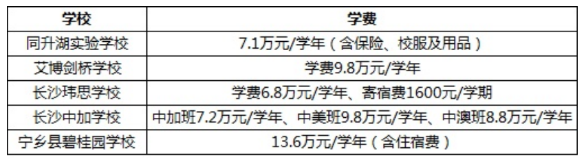 民办国际学校