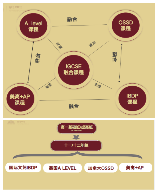 上海美达菲学校