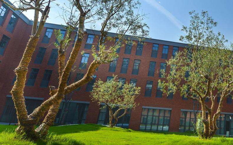 杭州橄榄树学校