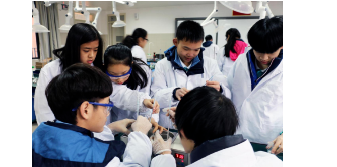 宁乡碧桂园学校