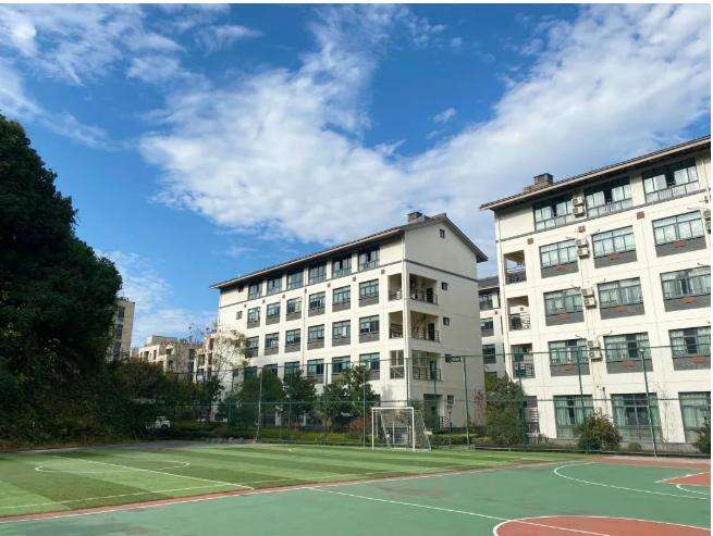 常春藤国际学校