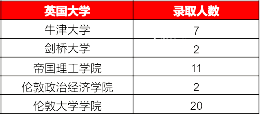  实验国际部