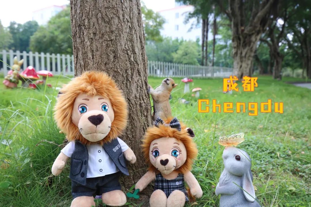 成都国际学校