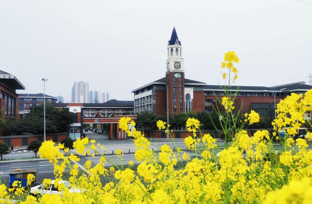 成都国际学校