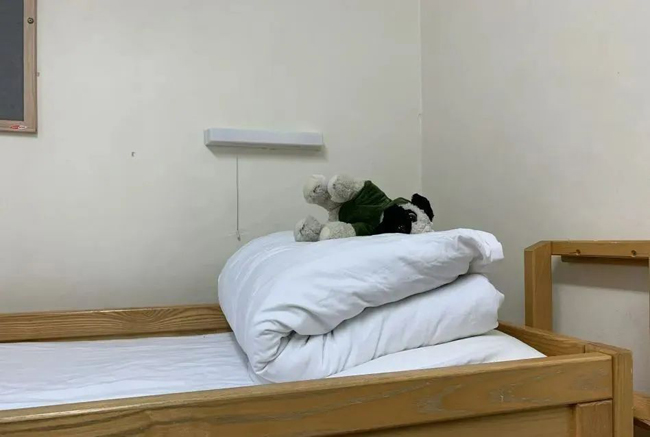 上海青浦世外双语学校