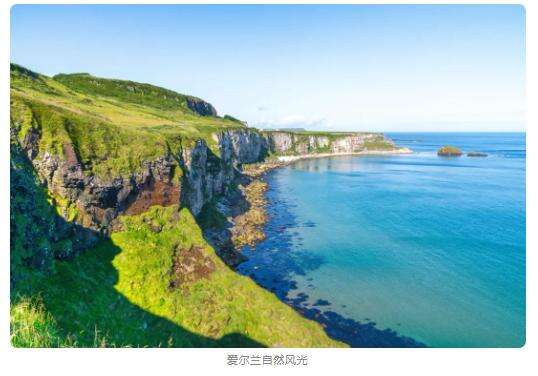 中国家长&ldquo;卷不动了，全家一起出国&rdquo;