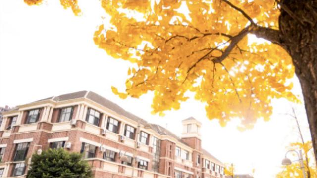 11月5日芭德美際課程體驗(yàn)官招募