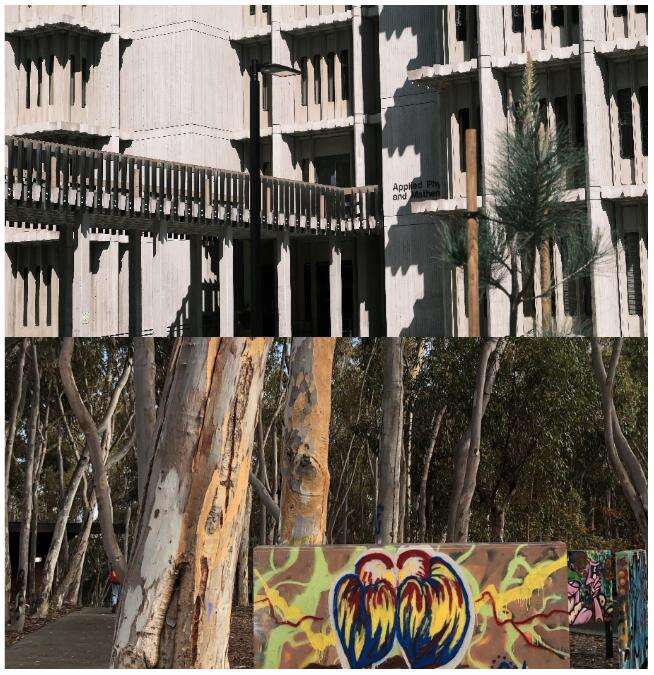 北京外国语大学国际课程中心