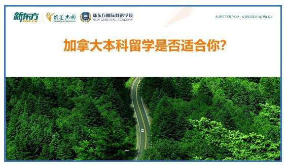 北京新东方国际双语学校