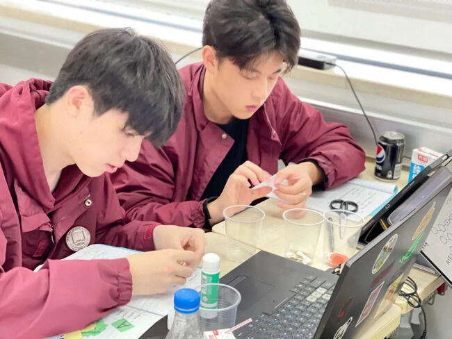 上海美达菲学校