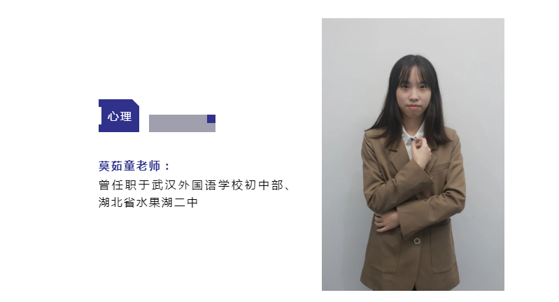 康礼国内