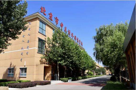 中关村外国语学校