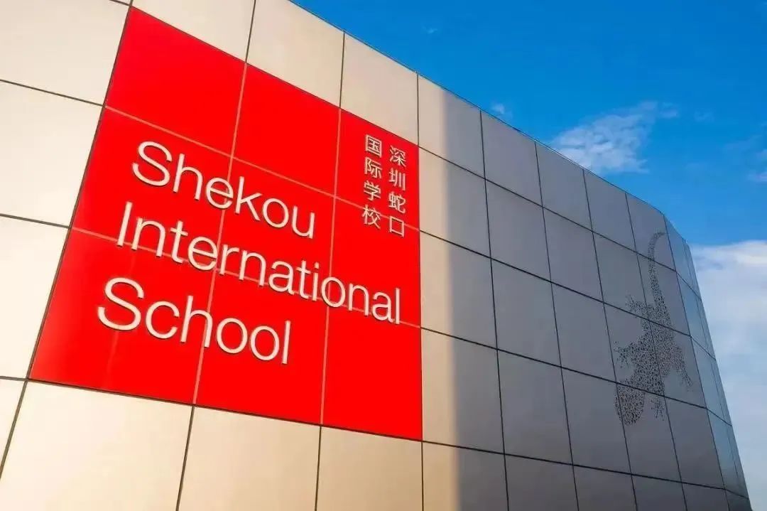 Alevel/AP/IB/DSE哪个最香？热门学校入学考什么？深度分享