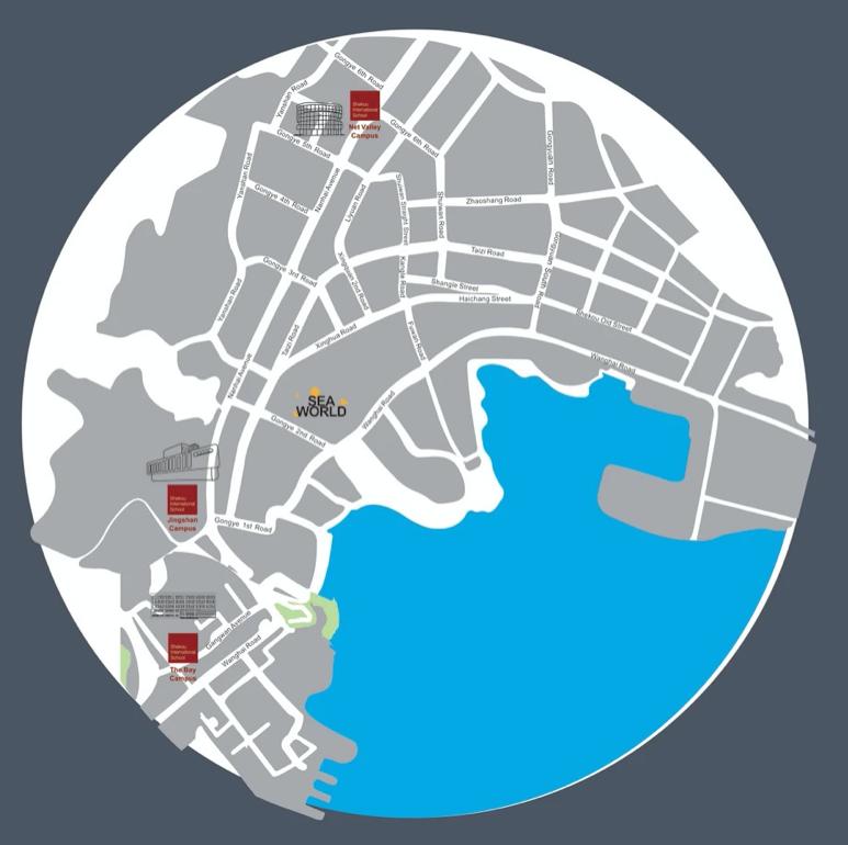 Alevel/AP/IB/DSE哪个最香？热门学校入学考什么？深度分享
