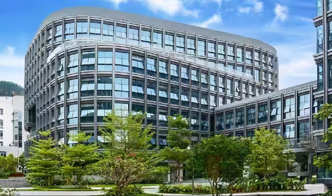 Alevel/AP/IB/DSE哪个最香？热门学校入学考什么？深度分享