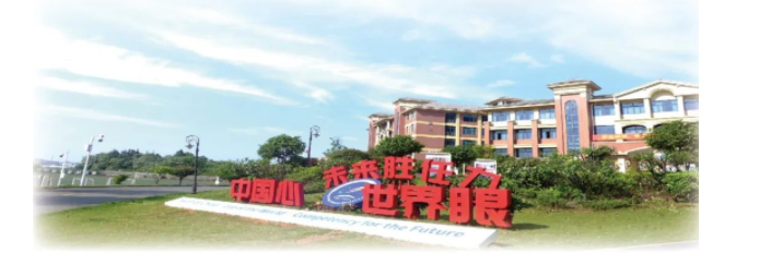 宁乡市碧桂园学校