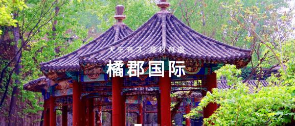 橘郡港新DSE