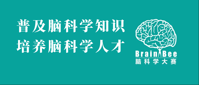 深圳国际交流书院成为2023 Brain Bee脑科学大赛广深地区考点