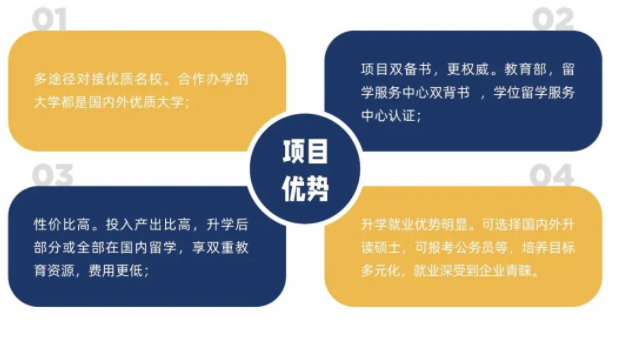 北大附中深圳南山分校国际部