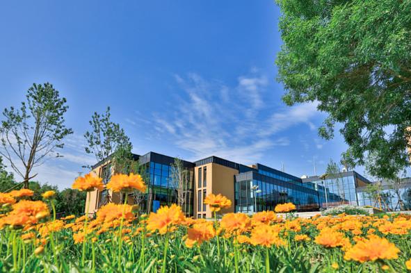 北京海淀凯文学校