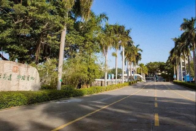 石岩公学橘郡国际课程中心