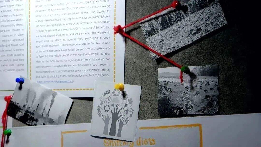 深国交国际日：让味蕾与大脑一起收获满满