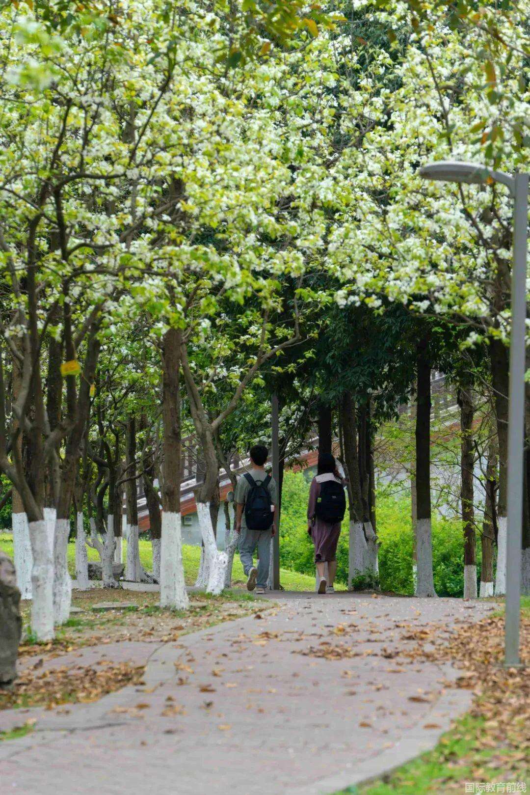 成电OSSD国际课程项目