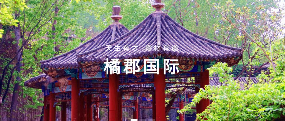 DSE课程国际学校