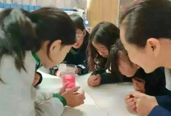 青苗昆明校区